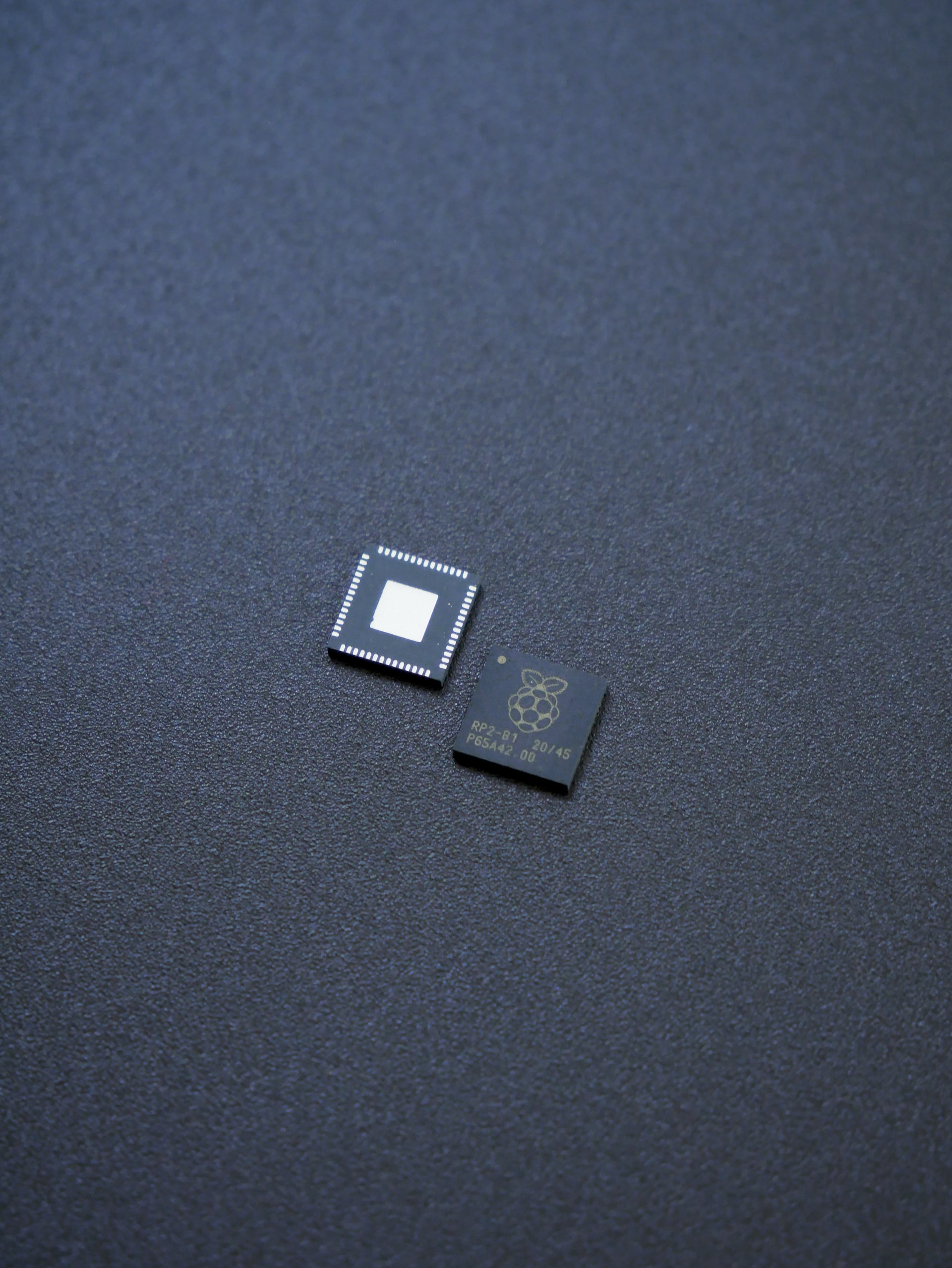 BruinBot Cover Image